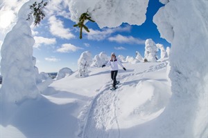 Snowshoeing - Lapland