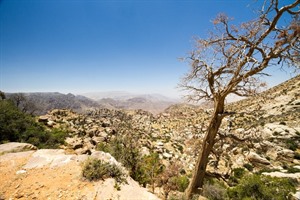 Danna Nature Reserve