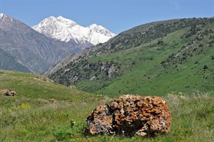 Aksu Zhabagly Reserve