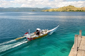 Komodo Leisure Snorkelling by Nomad Archipelago