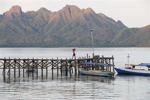 Komodo Leisure Snorkelling by Nomad Archipelago