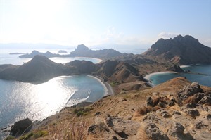 Komodo Leisure Snorkelling by Nomad Archipelago