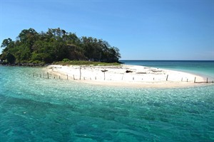 Komodo Leisure Snorkelling by Nomad Archipelago