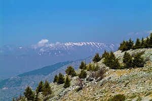 Lebanon Explorer Group Tour 5