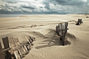 Curonian Spit