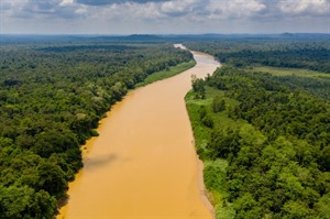 Kinabatangan River