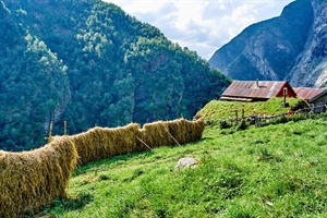 Farmland in Aurland