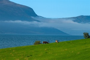 Lyngen Experience Summer Short Break 8