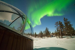 Muotka Wilderness Hotel - Lapland