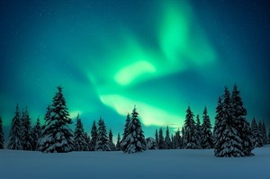 Northern Lights