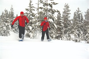 Snowshoeing - Lapland