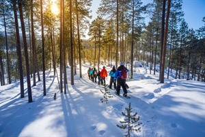 Wilderness Hotel Nellim - Snowshoeing