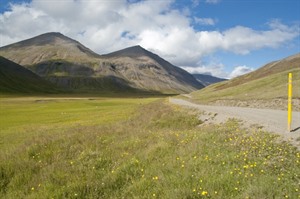 Trollaskagi peninsula - Iceland