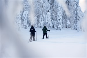Snowshoeing