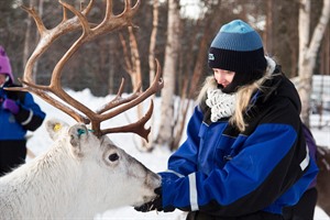 Wilderness Inari Hotel - Reindeer farm visit