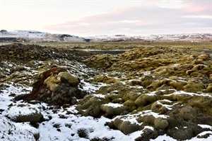 Eldhraun Lava Field, Iceland