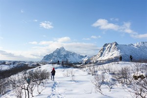 Snowshoeing in Lofoten Island