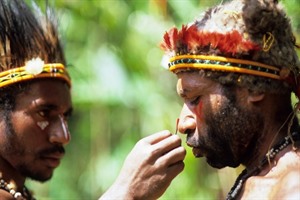 Papua New Guinea with Mt Wilhelm Climb 3