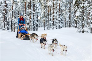 Dog Sledding Camp Ripan