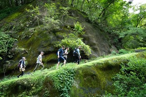 Hiking