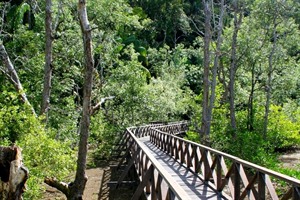 Boardwalk in Bako National Park