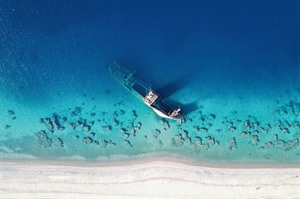Red Sea