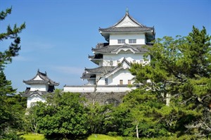 Iga Ueno Castle