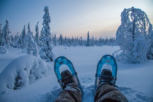 Snowshoeing - Lapland