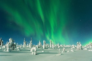 Northern lights - Lapland