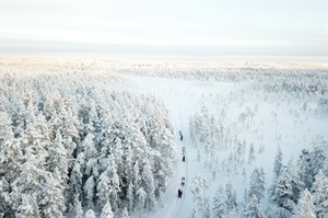 Dog sledding in the stunning wilderness