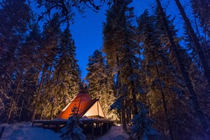 Tent room at Aurora Safari Camp