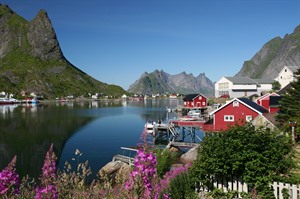 Norway Fjords