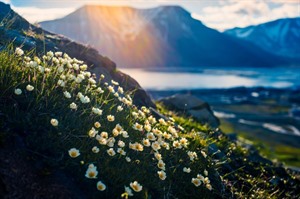 Svalbard Express Expedition Cruise 8