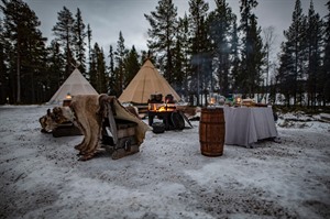 Outdoor Cooking at the Camp