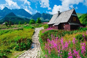 Mountain Hut in the Tatra's