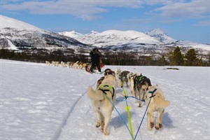 Tromso & Sommarøy Winter Break 3