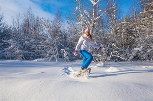 Tromsø & Lyngen Premium Winter Escape 5