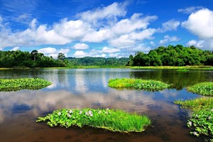 Crocodile Lake, Nam Cat Tien National Park