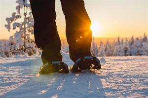 Snowshoeing