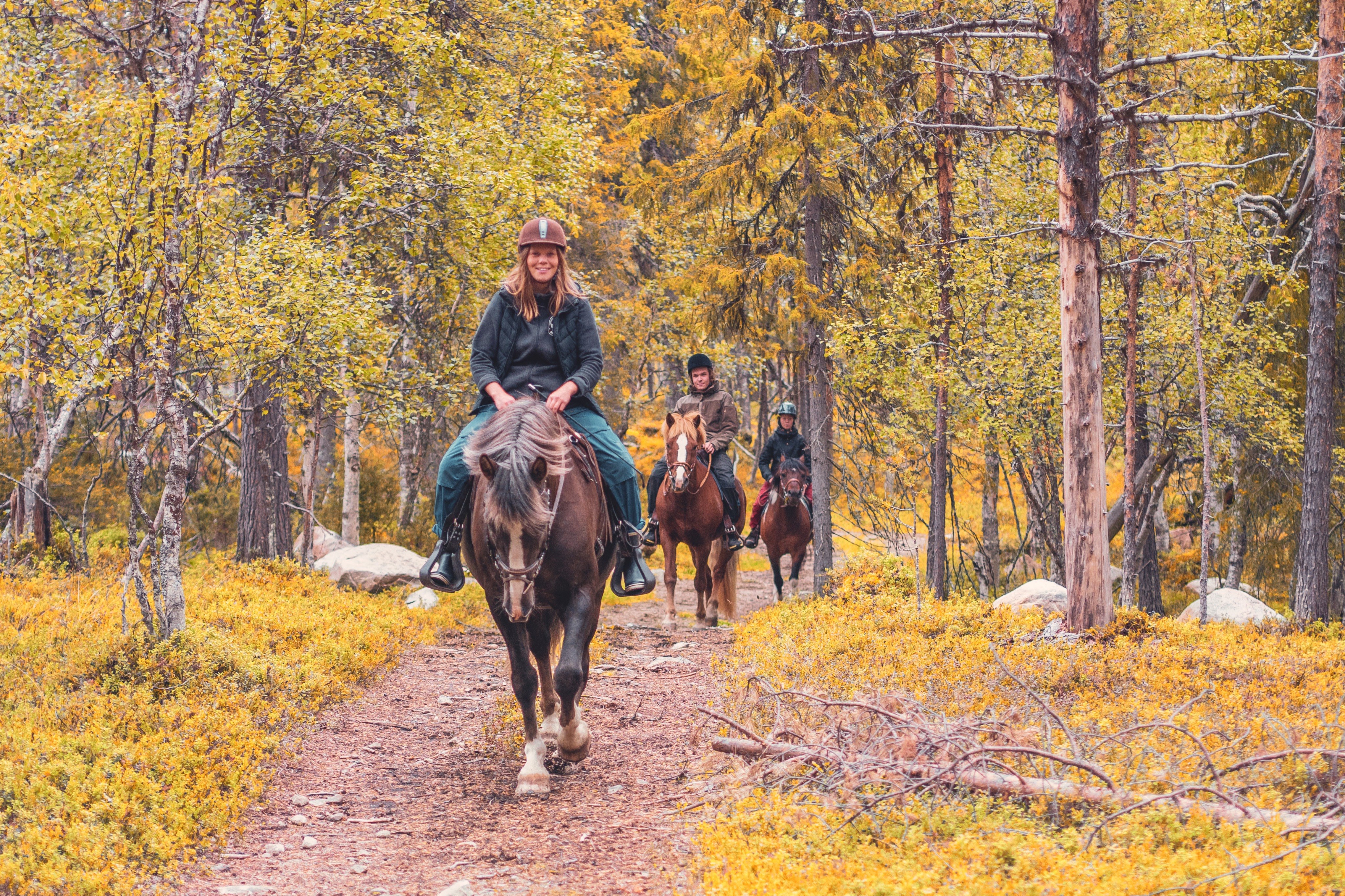 Lapland Wellness Break Book Lapland Tours