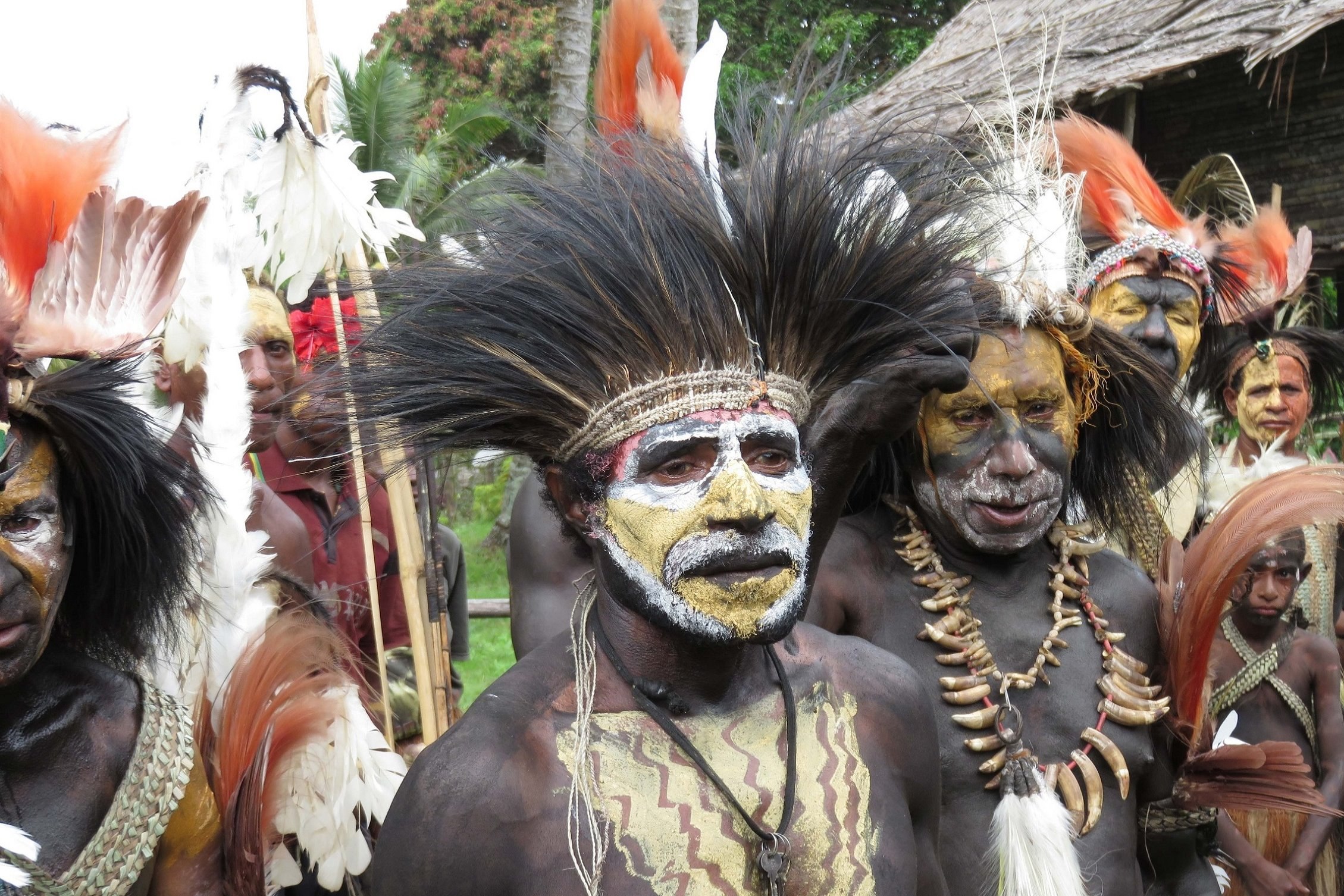 papua new guinea tour guide