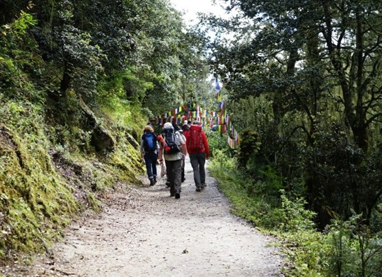 Bhutan: Mount Jomolhari Trek