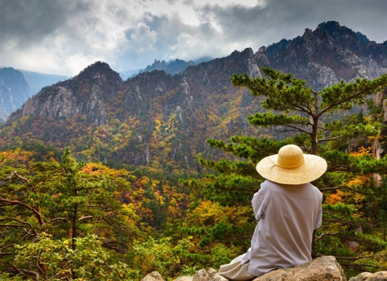 Classic South Korea Group Tour 2027