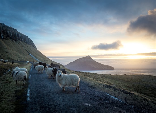 Culture & Cuisine of the Faroe Islands