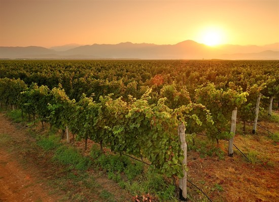 Culture & Cuisine of Montenegro