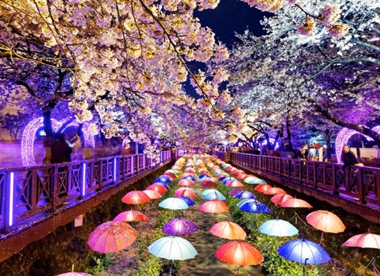 Discover South Korea