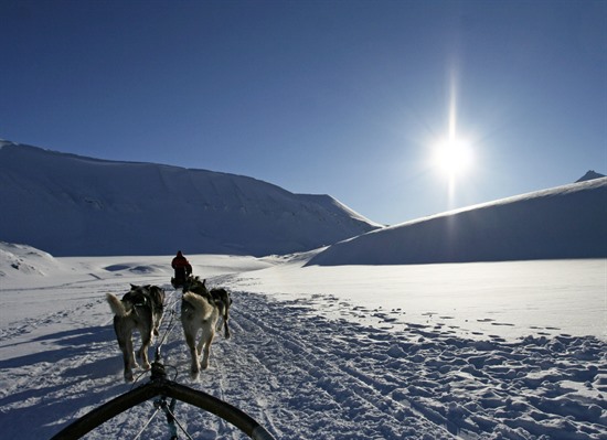 Dog sledding Adventures on Svalbard