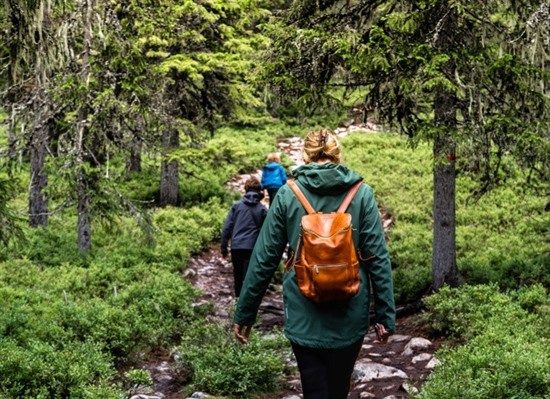 Explore Dalarna- A Family Self-Drive Adventure