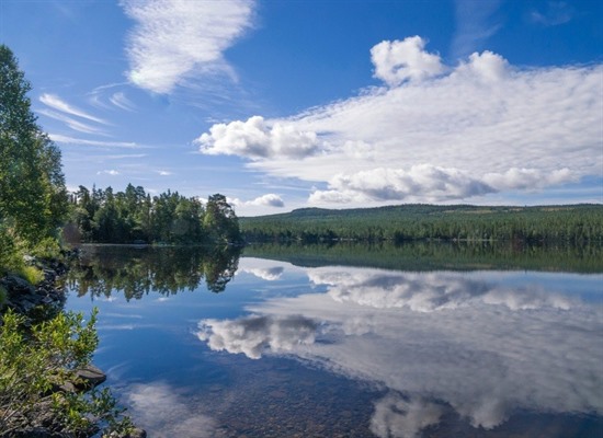 From Norway to Sweden-Via Trondheim and Östersund