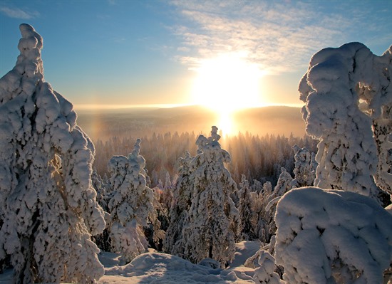 Helsinki & Vuokatti Winter Adventure
